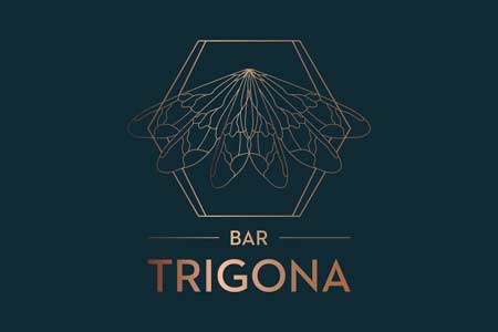 Copy-of-20180430-Trigona---Logo---R4---FA_Turq-BG
